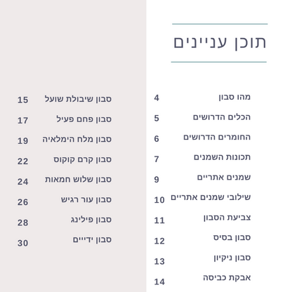 חוברת מתכונים דיגיטלית להכנת סבונים בשיטה הקרה