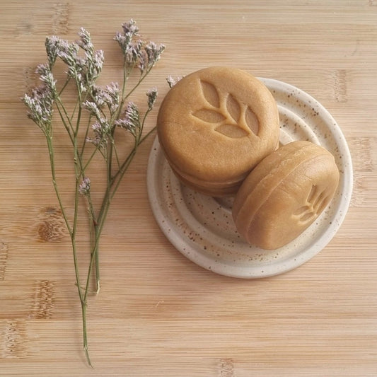 שמפו לשיער יבש ללא מלחים solid shampoo